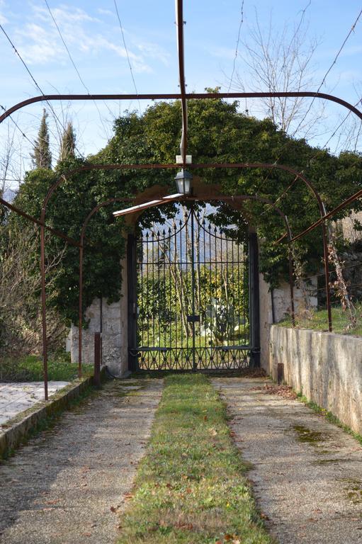 Tenuta Torellone San Potito Sannitico Exteriér fotografie