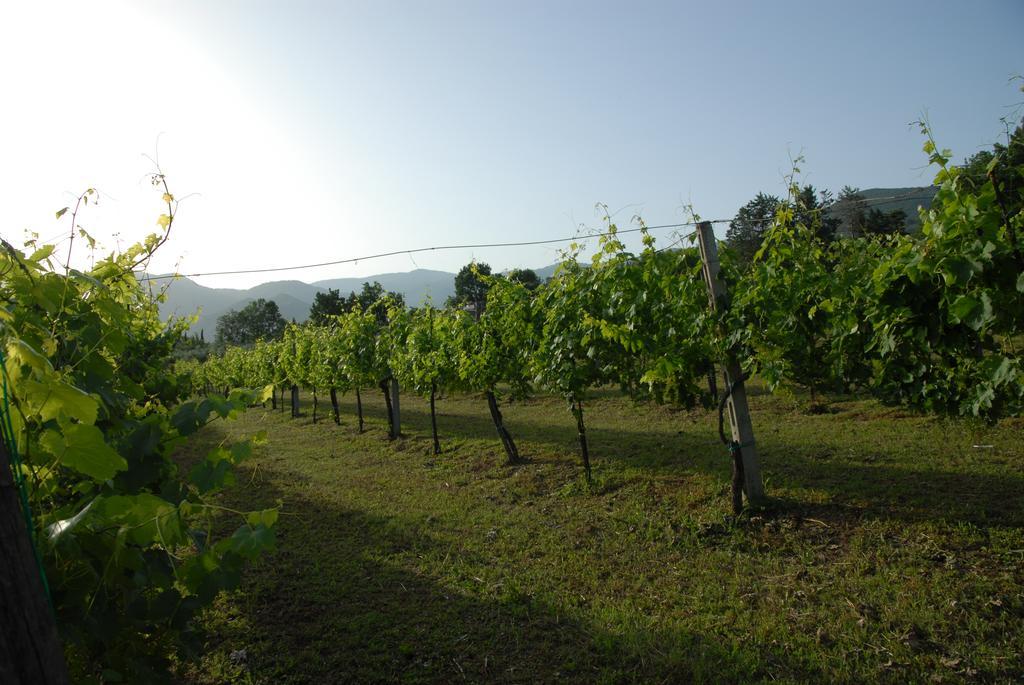 Tenuta Torellone San Potito Sannitico Exteriér fotografie